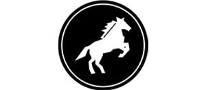 LE CHEVAL BLANC